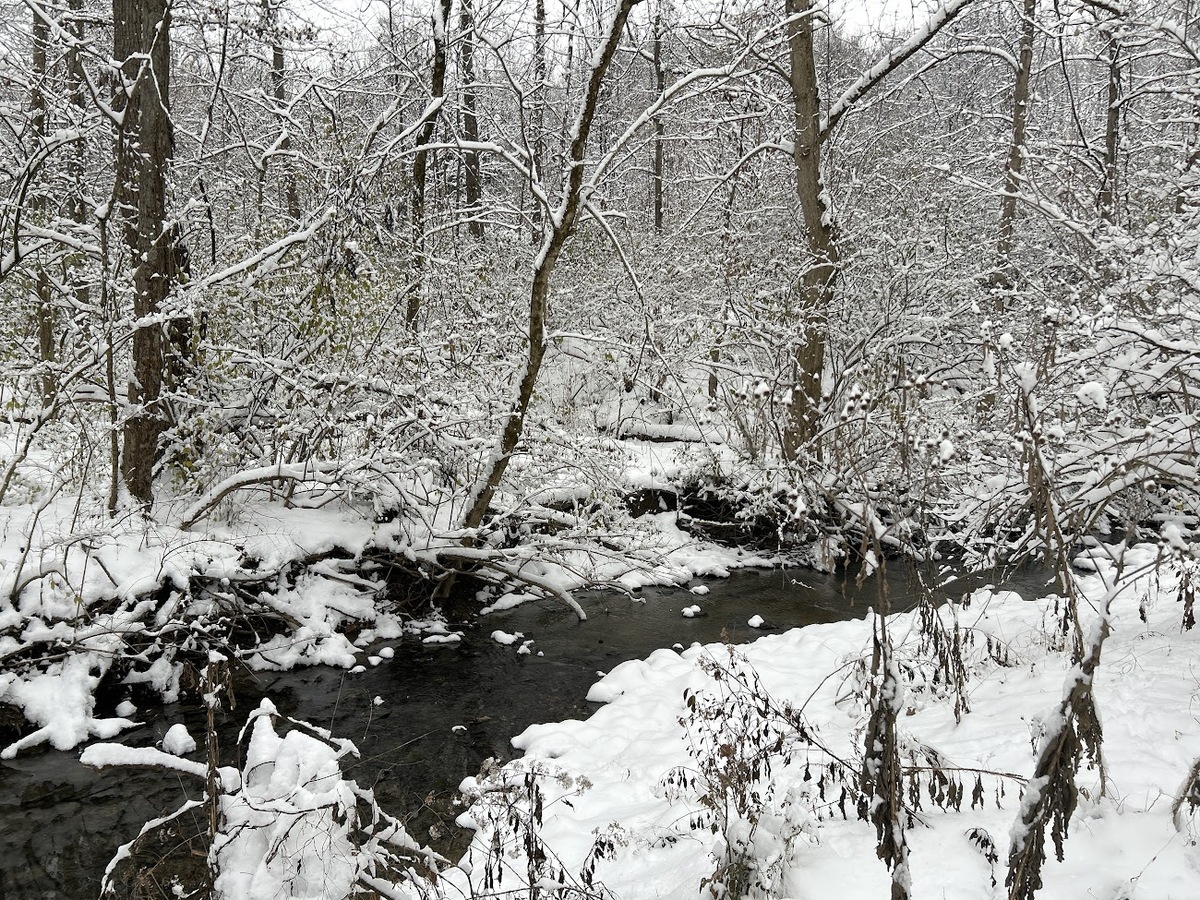 snowy december day